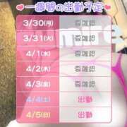 ヒメ日記 2026/03/30 08:42 投稿 すみれ 桃李（とうり）