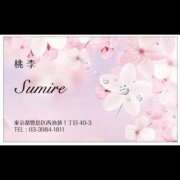 ヒメ日記 2026/03/31 08:25 投稿 すみれ 桃李（とうり）