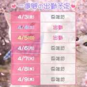 ヒメ日記 2026/04/03 09:52 投稿 すみれ 桃李（とうり）