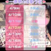 ヒメ日記 2026/04/10 06:53 投稿 すみれ 桃李（とうり）