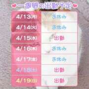 ヒメ日記 2026/04/13 18:32 投稿 すみれ 桃李（とうり）