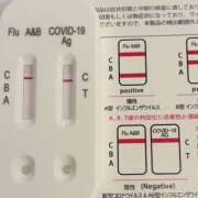 ヒメ日記 2026/04/17 22:32 投稿 すみれ 桃李（とうり）