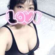 ヒメ日記 2026/04/19 06:32 投稿 すみれ 桃李（とうり）