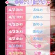 ヒメ日記 2026/04/20 16:14 投稿 すみれ 桃李（とうり）