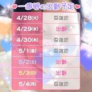ヒメ日記 2026/04/28 09:12 投稿 すみれ 桃李（とうり）