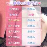 ヒメ日記 2026/05/08 02:12 投稿 すみれ 桃李（とうり）