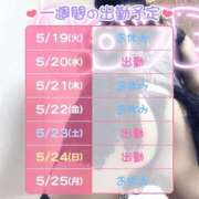 ヒメ日記 2026/05/19 08:09 投稿 すみれ 桃李（とうり）