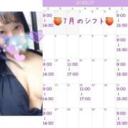 ヒメ日記 2026/06/11 17:42 投稿 すみれ 桃李（とうり）