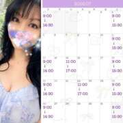 ヒメ日記 2026/06/29 11:22 投稿 すみれ 桃李（とうり）
