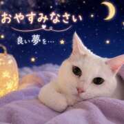 ヒメ日記 2026/08/28 22:12 投稿 すみれ 桃李（とうり）