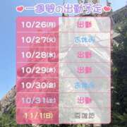 ヒメ日記 2026/10/26 10:22 投稿 あかね 桃李（とうり）