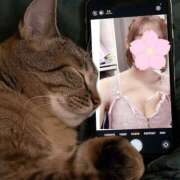 ヒメ日記 2026/04/06 12:47 投稿 いろは 桃李（とうり）