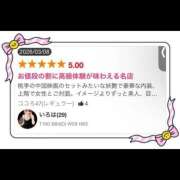 ヒメ日記 2026/04/17 12:32 投稿 いろは 桃李（とうり）