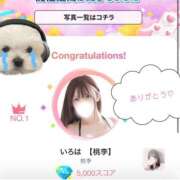 ヒメ日記 2026/05/14 10:12 投稿 いろは 桃李（とうり）