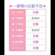 ヒメ日記 2026/03/15 22:27 投稿 まいか 桃李（とうり）