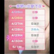 まいか 間近の出勤予定🗓 桃李（とうり）