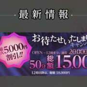 ヒメ日記 2026/03/17 10:02 投稿 琥珀 桃李（とうり）