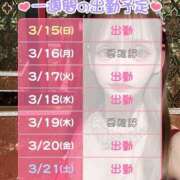 ヒメ日記 2026/03/15 23:59 投稿 りんか 桃李（とうり）