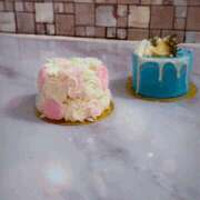 ヒメ日記 2026/03/16 16:32 投稿 りんか 桃李（とうり）