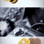 ヒメ日記 2026/03/18 06:22 投稿 りんか 桃李（とうり）