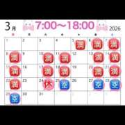 ヒメ日記 2026/03/23 08:02 投稿 りんか 桃李（とうり）