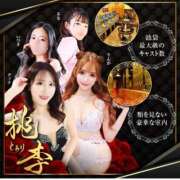 ヒメ日記 2026/03/26 18:03 投稿 りんか 桃李（とうり）