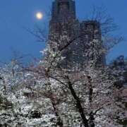 ヒメ日記 2026/04/06 19:52 投稿 りんか 桃李（とうり）