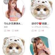 ヒメ日記 2026/04/13 07:32 投稿 りんか 桃李（とうり）