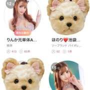 ヒメ日記 2026/04/15 09:22 投稿 りんか 桃李（とうり）