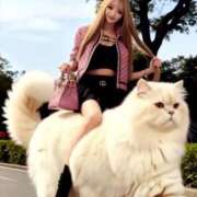 ヒメ日記 2026/04/19 05:15 投稿 りんか 桃李（とうり）