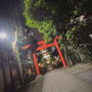 ヒメ日記 2026/05/10 08:02 投稿 りんか 桃李（とうり）