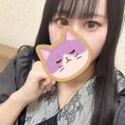 ヒメ日記 2026/03/11 10:42 投稿 むぎ 桃李（とうり）