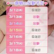 ヒメ日記 2026/03/12 13:22 投稿 ひとみ 桃李（とうり）