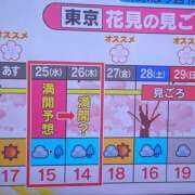 ヒメ日記 2026/03/23 08:32 投稿 ひとみ 桃李（とうり）