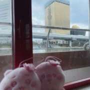 ヒメ日記 2026/03/30 13:52 投稿 ひとみ 桃李（とうり）