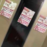 ヒメ日記 2026/04/01 08:12 投稿 ひとみ 桃李（とうり）