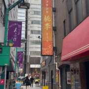 ヒメ日記 2026/04/05 16:35 投稿 ひとみ 桃李（とうり）