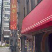 ヒメ日記 2026/04/21 12:22 投稿 ひとみ 桃李（とうり）