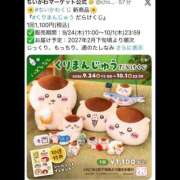 ヒメ日記 2026/09/15 22:32 投稿 ひとみ 桃李（とうり）