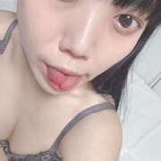 ヒメ日記 2026/04/02 07:12 投稿 りつ 桃李（とうり）