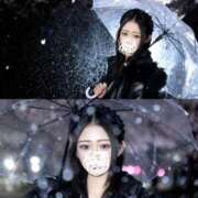 ヒメ日記 2026/03/24 14:36 投稿 泉ゆりあ Claris Tokyo～クラリス東京～