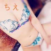 ヒメ日記 2026/03/30 16:22 投稿 ちえ 桃李（とうり）