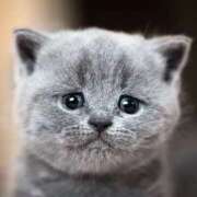 ヒメ日記 2026/03/24 15:42 投稿 ティナ 桃李（とうり）