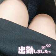 ヒメ日記 2026/03/15 10:03 投稿 りの 大阪ぽっちゃりマニア 十三店