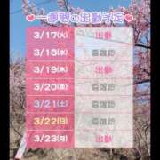 ヒメ日記 2026/03/17 14:52 投稿 はるな 桃李（とうり）
