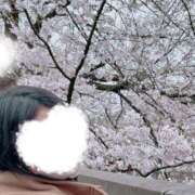 ヒメ日記 2026/03/31 14:02 投稿 はるな 桃李（とうり）