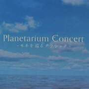 ヒメ日記 2026/04/08 14:06 投稿 はるな 桃李（とうり）