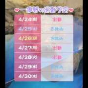 はるな お知らせと、指名について🤔 桃李（とうり）