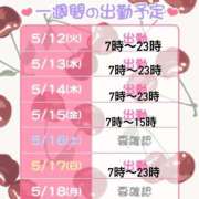 ヒメ日記 2026/05/12 06:52 投稿 いちじく 桃李（とうり）
