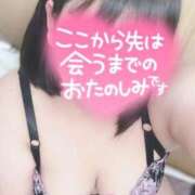 ヒメ日記 2026/04/03 10:12 投稿 せりね 香川サンキュー